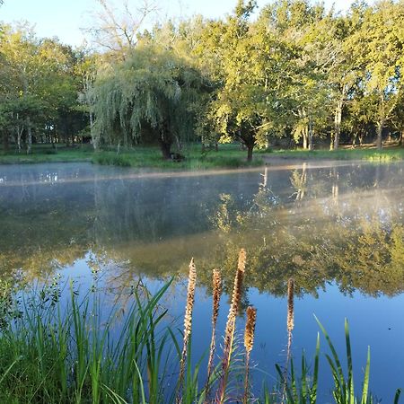 圣保罗恩波恩Le Ranch Amadeus住宿加早餐旅馆 外观 照片
