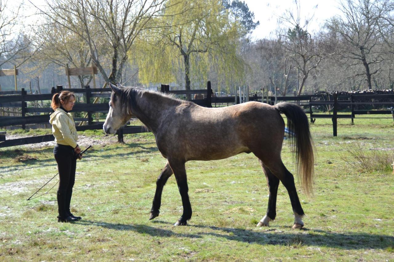 圣保罗恩波恩Le Ranch Amadeus住宿加早餐旅馆 外观 照片