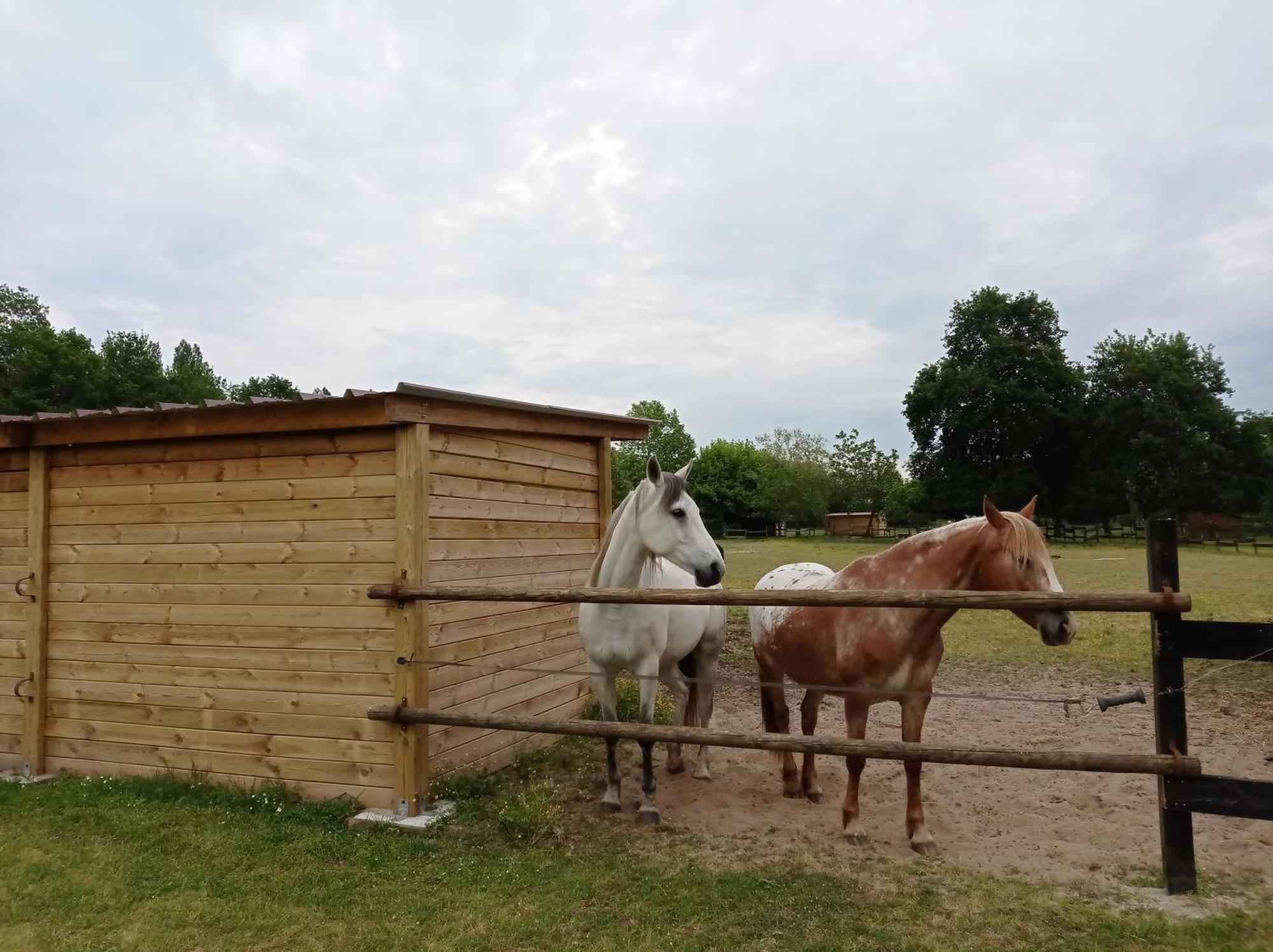 圣保罗恩波恩Le Ranch Amadeus住宿加早餐旅馆 外观 照片