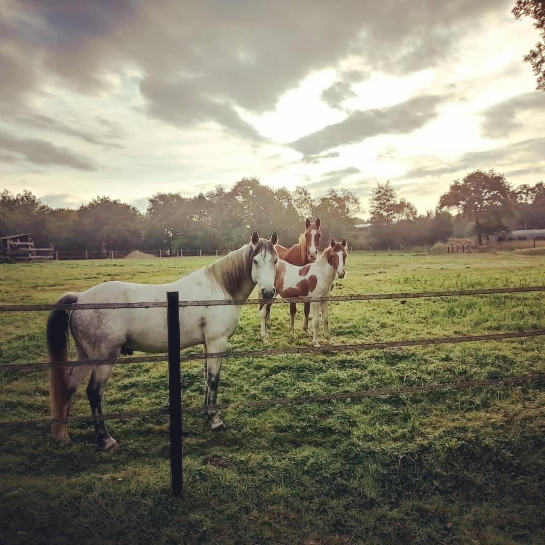 圣保罗恩波恩Le Ranch Amadeus住宿加早餐旅馆 外观 照片